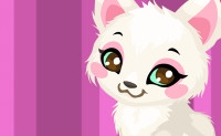 Cat Games