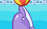 Dolphin Games